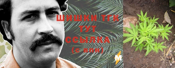 apvp Осташков