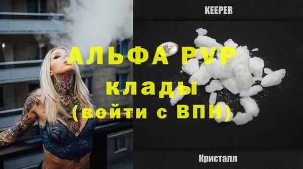 apvp Осташков