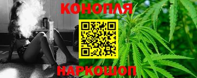 сатива Волжский