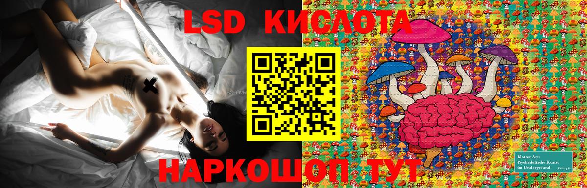 Марки NBOMe 1500мкг  Выборг  Марки NBOMe 1500мкг 