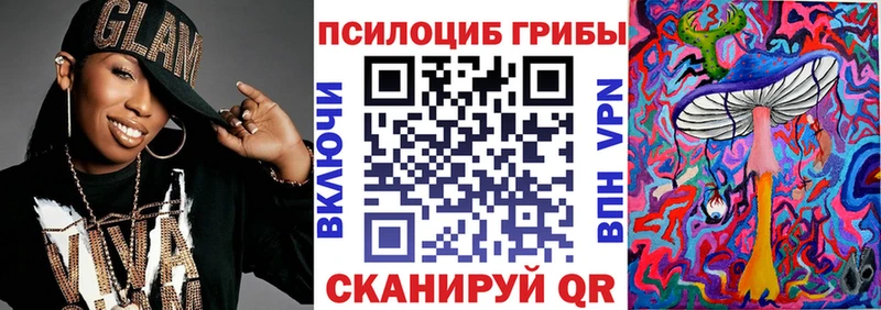 где можно купить наркотик  Выборг  Псилоцибиновые грибы GOLDEN TEACHER 