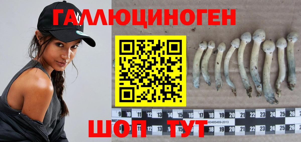 Выборг  Галлюциногенные грибы Psilocybine cubensis  Галлюциногенные грибы прущие грибы  Вход с VPN 
