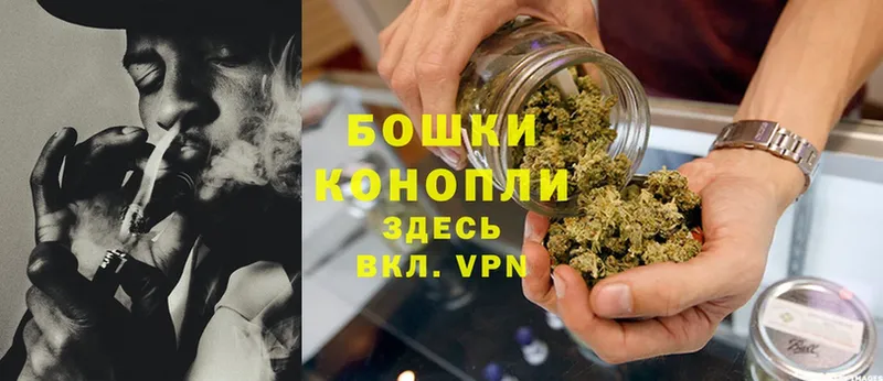 Бошки Шишки OG Kush  Выборг 